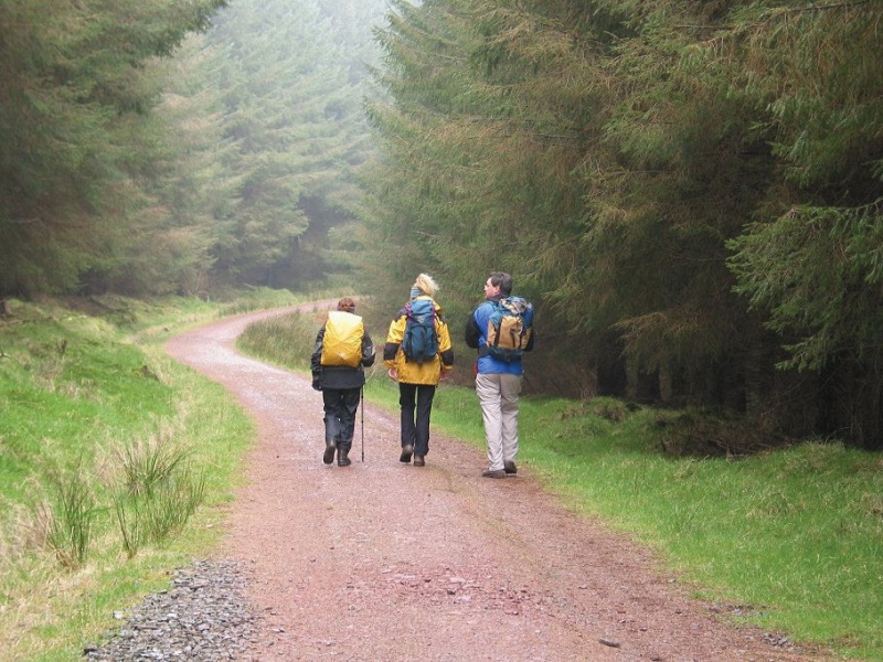 Dublin Mountains Family Hill Walk