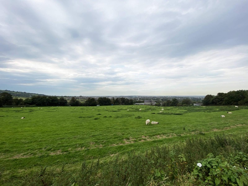 Foothills of the Dublin Mountains